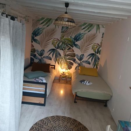 Le Logis De La Rue Des Arts Apartamento Blois Exterior foto