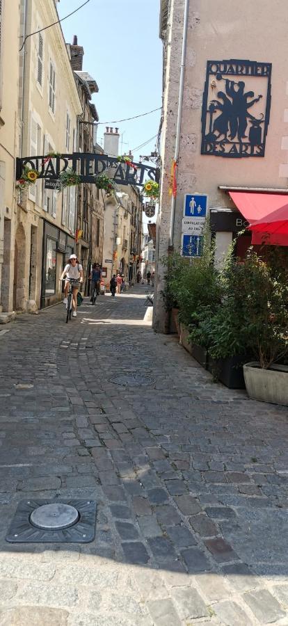 Le Logis De La Rue Des Arts Apartamento Blois Exterior foto