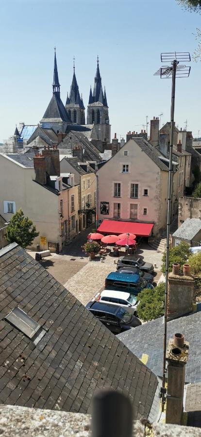 Le Logis De La Rue Des Arts Apartamento Blois Exterior foto