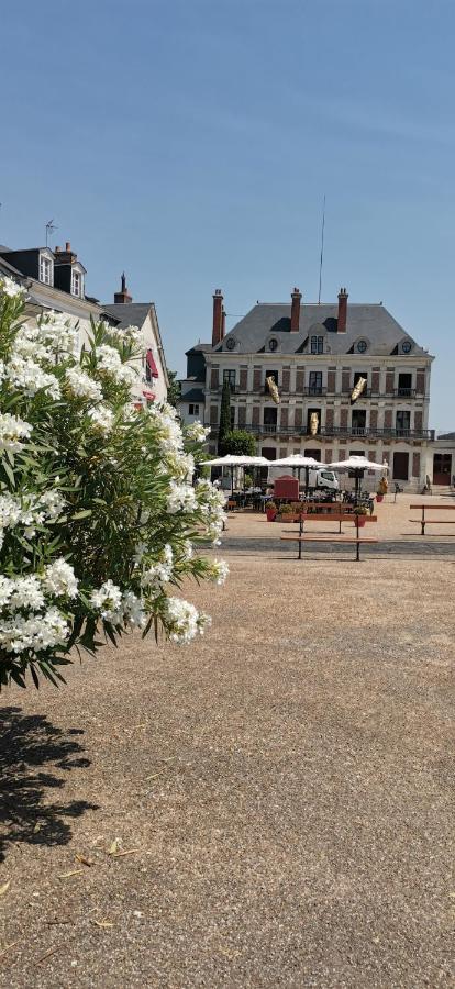 Le Logis De La Rue Des Arts Apartamento Blois Exterior foto