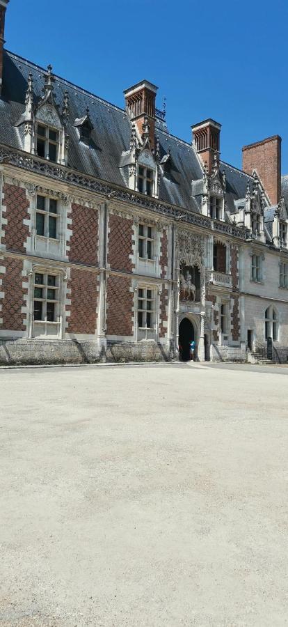 Le Logis De La Rue Des Arts Apartamento Blois Exterior foto