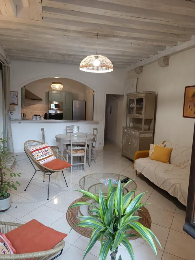 Le Logis De La Rue Des Arts Apartamento Blois Exterior foto